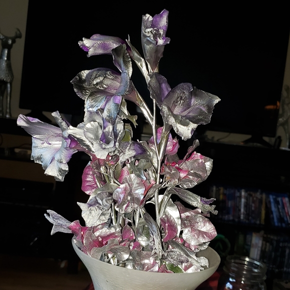 C.i.a.m. New&Worn - Picture 1 of 7